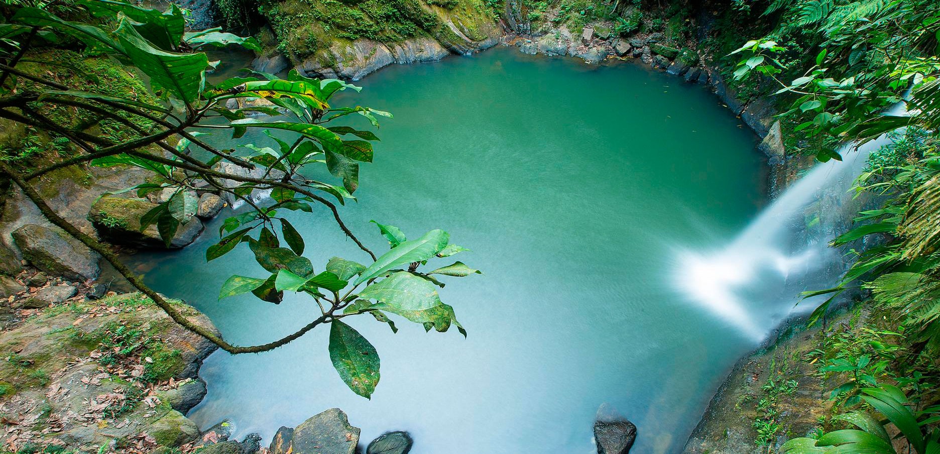 Tour a Cascadas de Carpishuyacu
